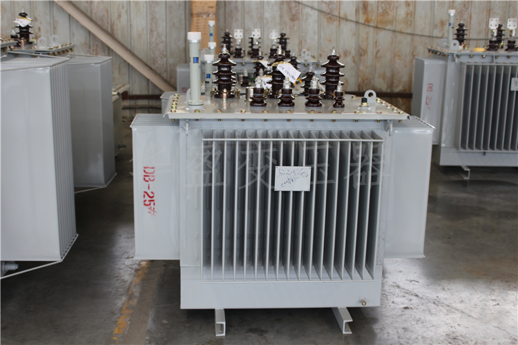 乐山S20-800kVA/10kV/0.4kV变压器